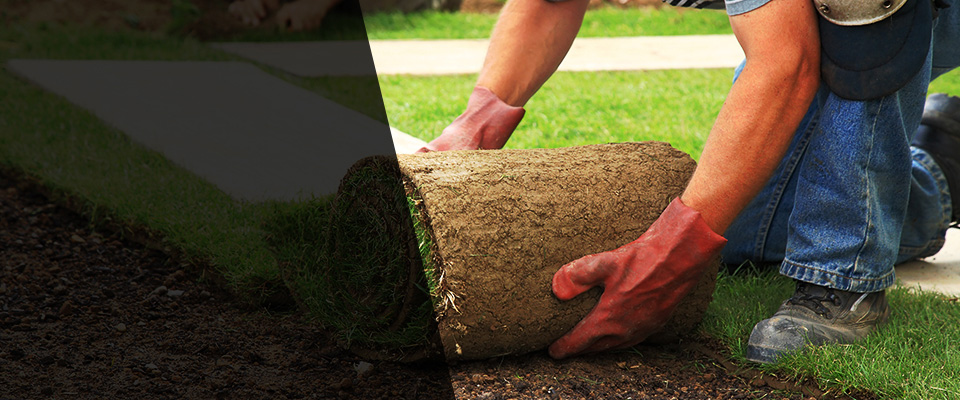 Coal Valley Landscapers